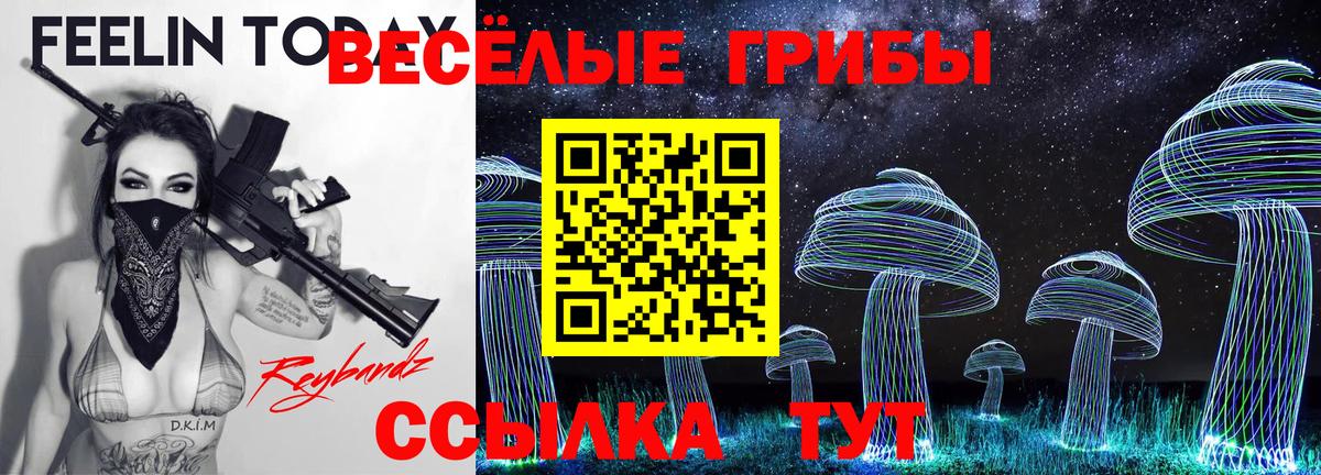 Псилоцибиновые грибы MAGIC MUSHROOMS Шатура