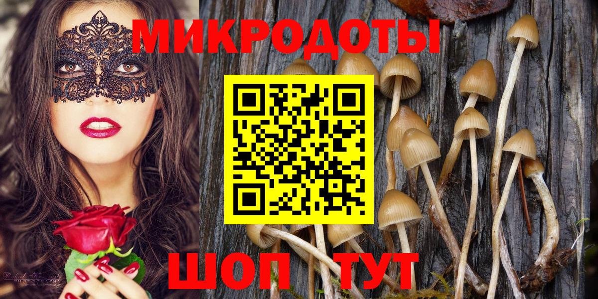Шатура  Псилоцибиновые грибы MAGIC MUSHROOMS  Вход с VPN  купить наркотик  Псилоцибиновые грибы MAGIC MUSHROOMS 